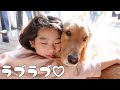 【大型犬1歳のいる生活#25】大好きな姉にベッタリ甘えて過ごす愛犬の冬休み
