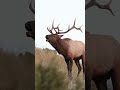 Sunrise Ranch | #washington #landforsale #ranches #realestate