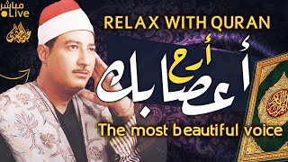 تلاوة رقيقة تهدّي القلب 😌 آيات تبعث السكينة ✨ | Peaceful Quran screenshot 5
