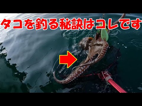 鯨を釣り上げた クジラ打ち上げられる - YouTube