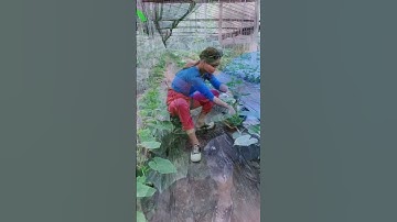 Nông cụ nông nghiệp Tháp Xanh, Công nghệ nông nghiệp, Thế giới Vật tư Máy móc