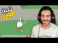          untitled goose