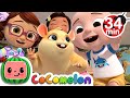 Class Pet Song   More Nursery Rhymes & Kids Songs - CoComelon