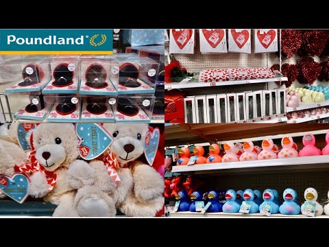 poundland teddy