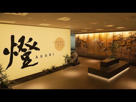 燈 公式動画