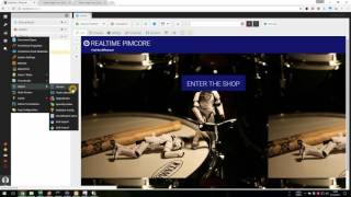 Realtime Pimcore - Thesis project