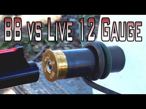 bb-fired-at-a-live-12-gauge-shell