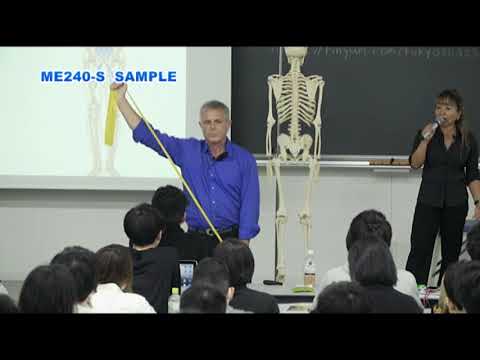トム ・ マイヤーズ Anatomy Trains セミナー2018 筋膜のネットワーク:活気溢れる健康とライフレディトレーニング トム ・ マイヤーズ Anatomy Trains セミナー2018 筋膜のネットワーク:活気溢れる健康とライフレディトレーニング