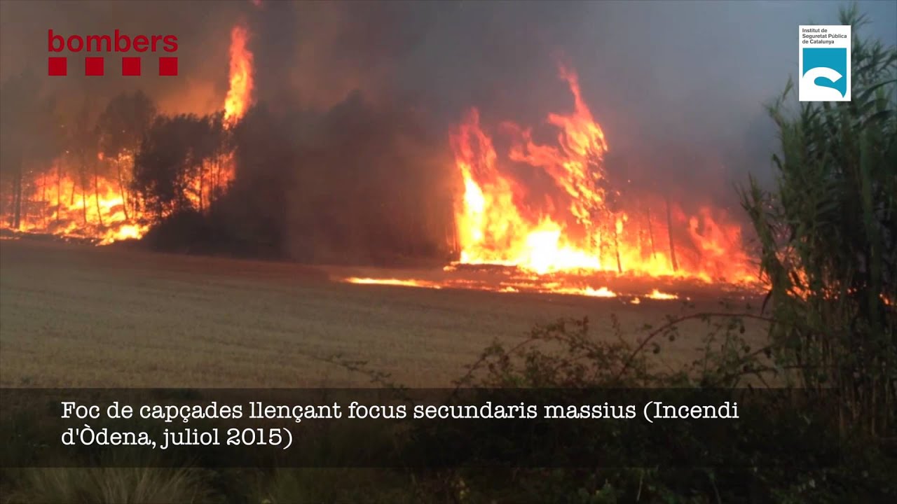 12 Factors comportament del foc