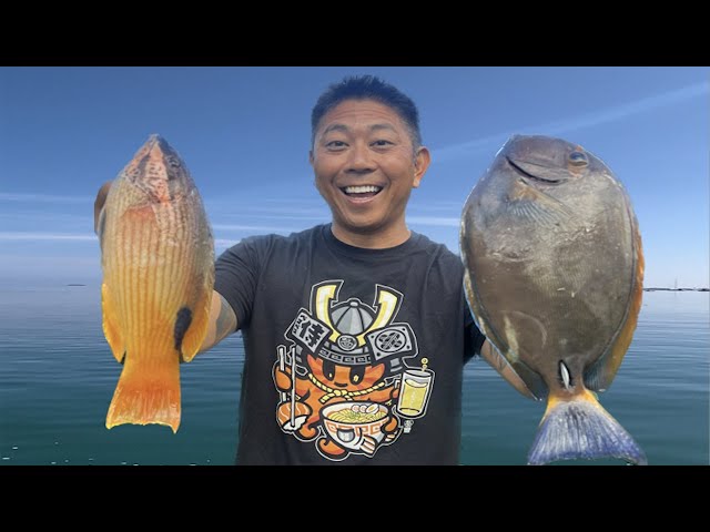 TWO MOST UNDER RATED FISH IN HAWAII, Ep 143 