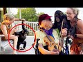 BABY CHIMPANZEE LISTENS TO A VIOLIN FOR THE FIRST TIME!