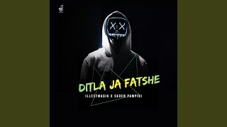 Ditla Ja Fatshe (feat. Skoen Pampiri)