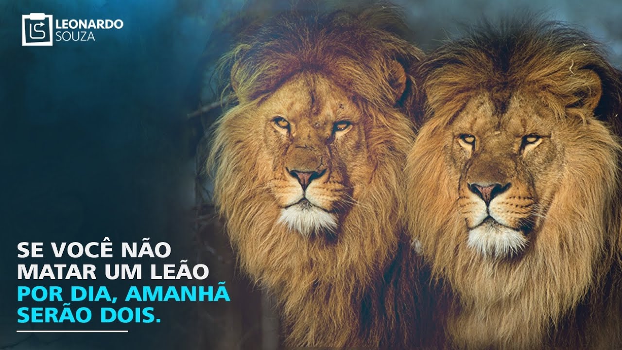 Matando Um Leão Por Dia Versículo Se você não matar um leão por dia, amanhã serão dois. - YouTube