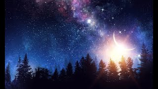 The Resilience Of The Human Spirit