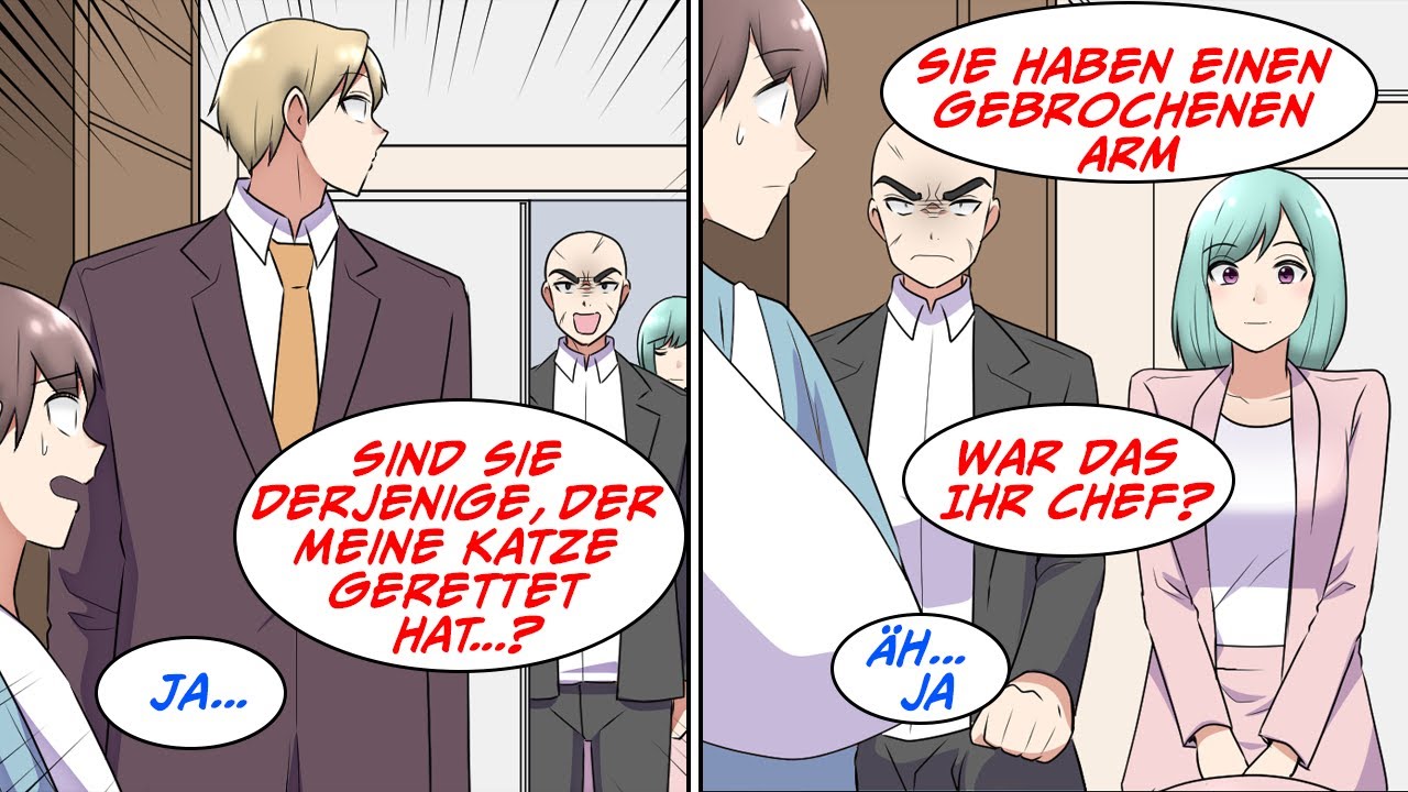 Ich habe eine Katze gerettet, die fast überfahren worden wäre, und wurde ins Krankenhaus...