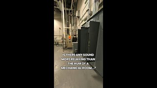 Hum of the mechanical room