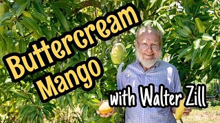 'Buttercream' Mango with Walter Zill