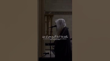 محمد أبا الحسن🤎|سورة آل عمران💡#عَـــطِـــرَات #قرآن #اكسبلور #المصحف #قران_كريم