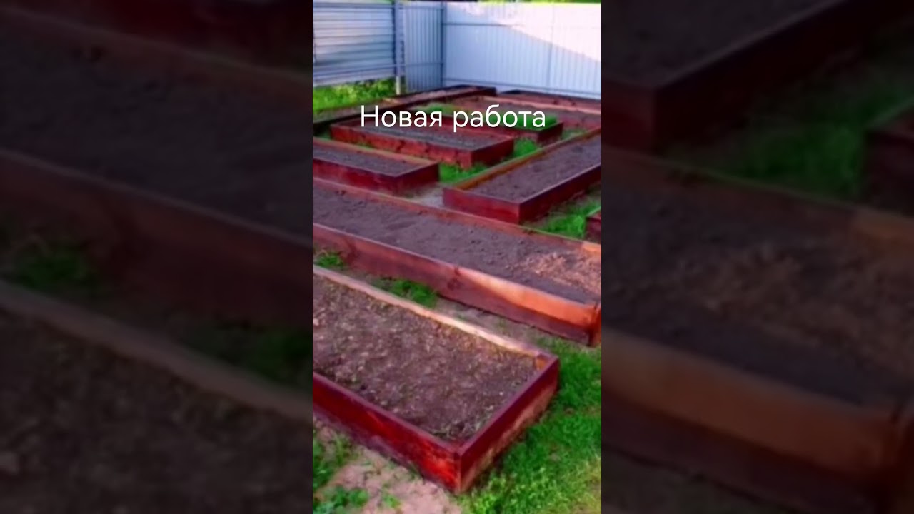 ребята скоро обнова в real life готовьтесь! #мем #лето #рекомендации #shorts