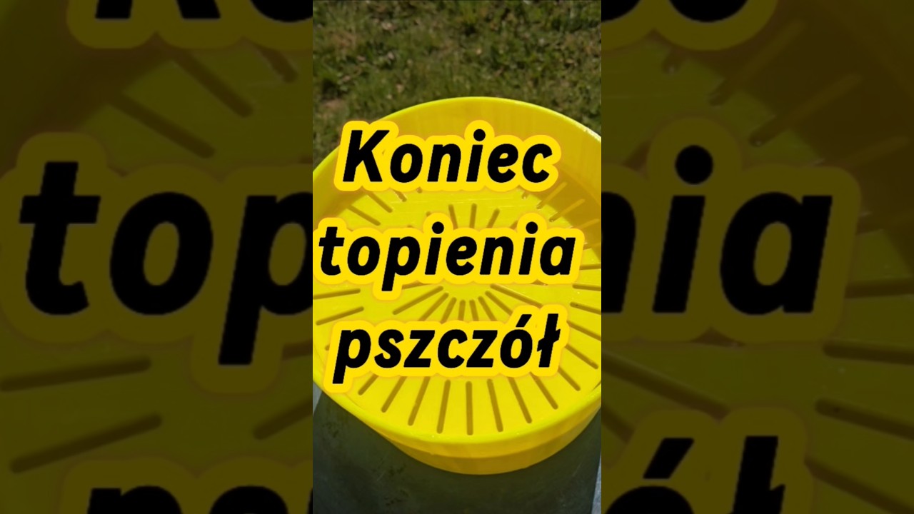 https://efortuna-pl.org/