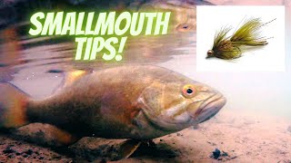 Smallmouth Bass Fly Fishing Tips On The Mad River, OH  The Fly Guy