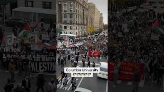 🇵🇸 Columbia University Pro Palestinian Protest