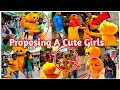 Happy teddy proposing a cute girls  teddy bera funny dance teddy bear funny 