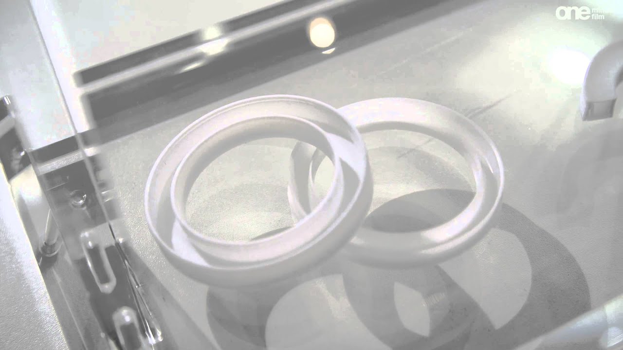 Achema 2015: Produktvideo Dichtelemente Hallite GmbH - Wellendichtung aus PTFE Hygiene Design