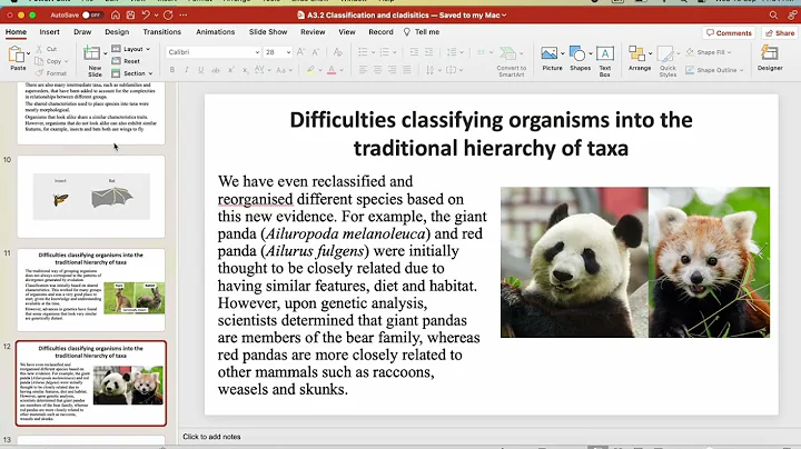 IB Biology: A3.2 Classification and cladistics (first exams in 2025)