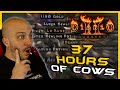 An obscene 37 hours of running cows was it worth it  diablo 2 resurrected