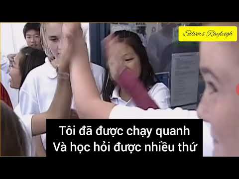 Video: Phim Tài Liệu Netflix Về Chương Trình Mèo đang Mê Hoặc Khán Giả