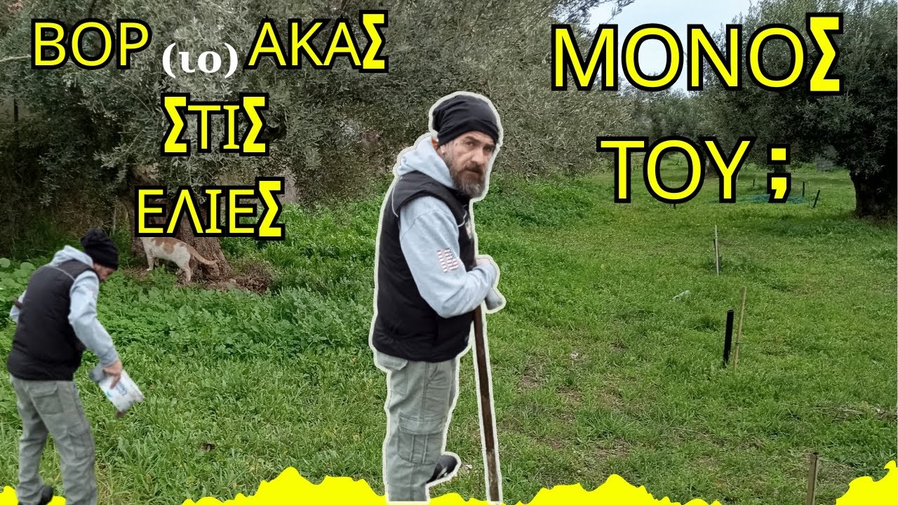 ΒΟΡΑΚΑΣ ΣΤΙΣ ΕΛΙΕΣ: ΜΟΝΟΣ ΤΟΥ; ΑΠΛΗ ΚΑΙ ΟΙΚΟΝΟΜΙΚΗ ΣΥΝΤΑΓΗ 