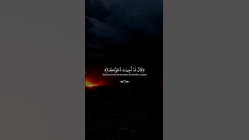تلاوة تهز القلوب 🤍|#قرآن #تلاوة_خاشعة #عبدالرحمن_مسعد #quran #راحة_نفسية #تابعوني #ترند