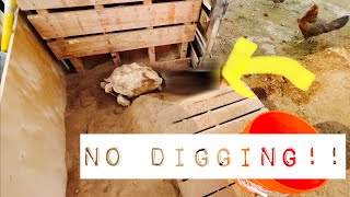 THIS IS WHY I *DONT* LET MY TORTOISES DIG!! NEW ENCLOSURE!!