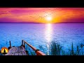 🔴 Relaxing Music 24/7, Peaceful Music, Sleep Music, Meditation Music, Zen, Spa, Study, Calm Music