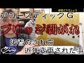 018_【修理どうでしょう】アコースティックギターのブリッジ剥がれ 接着のされ方/近年変更された事