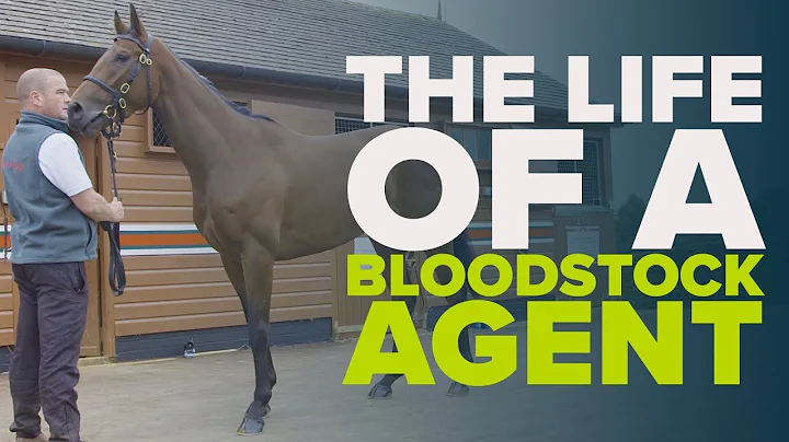 LIFE OF A BLOODSTOCK AGENT | Will Douglass | Tatte...