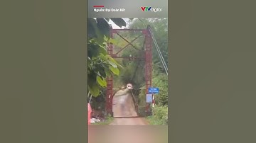 Khoảnh khắc nước lũ cuốn gãy cầu treo, 50 hộ dân ở Cao Bằng bị cô lập | VTV24