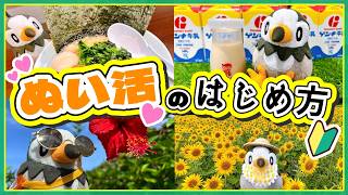 【初心者必見】　ポケぬいと始める新しい暮らし！楽しみ方と注意事項を徹底解説します！