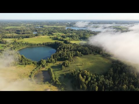 Video: Ko Simbolizē Islandes ģerbonis