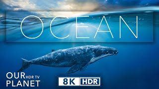 8k HDR Ocean Life