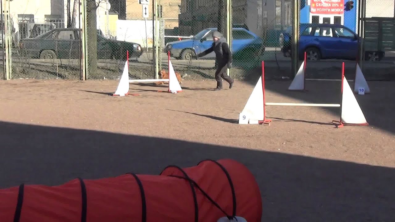 Д-1 Medium - Крамник Юлия и РОС Радек