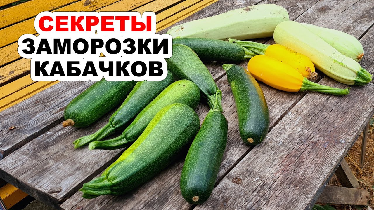 Лучшие способы заморозить кабачки на зиму. СЕКРЕТЫ, как правильно заморозить кабачки (научила всех)