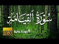 سورة القيامة القارئ محمد ديبيروف بجودة عالية Full HD 