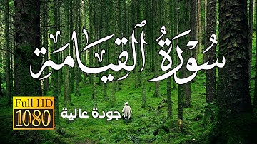 سورة القيامة 🍁😴| القارئ محمد ديبيروف بجودة عالية Full HD