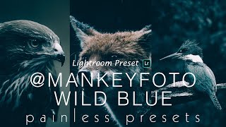 @MANKEYFOTO Inspired - Wild Blue-Lightroom Mobile Preset DNG | Free Download |Photo Editing Tutorial screenshot 1