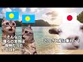 【文化的な絆】日本が好きな親日国3選#猫マニ #猫ミーム