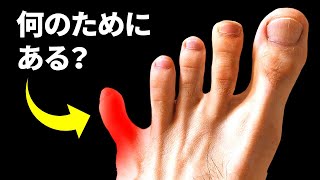 実はすごい人体の部位