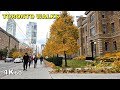 Walking all of College Street - Dundas to Downtown [4K Toronto walk]