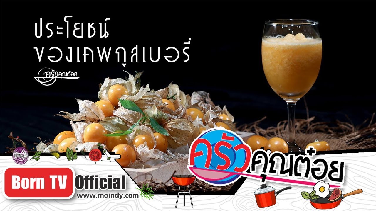 ประโยชน์ของเคพกูสเบอรี่ 7 มี.ค. 62 (1/2) ครัวคุณต๋อย